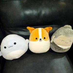 Squishmallows Fitch , Jayden Hodge